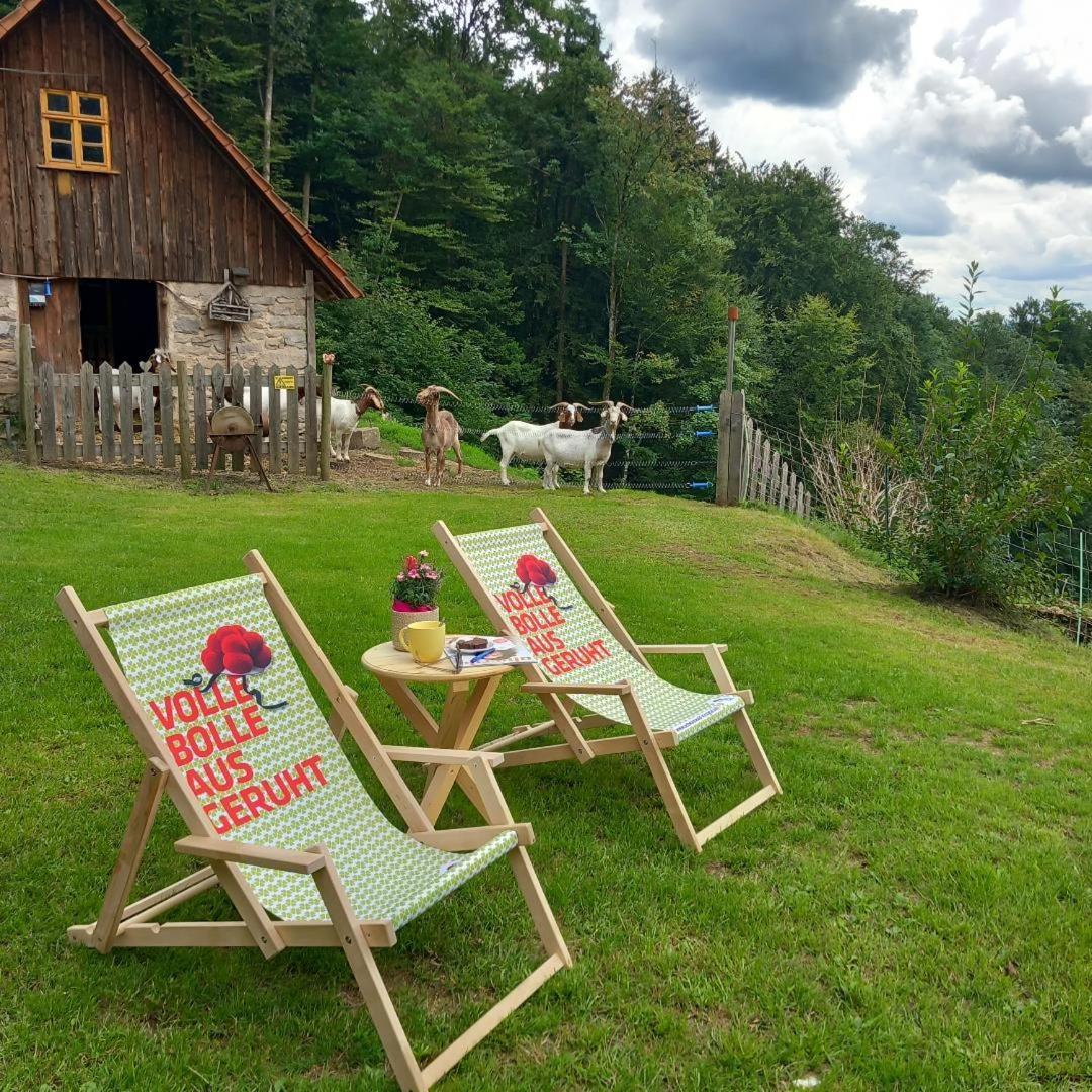 Deine Seebach