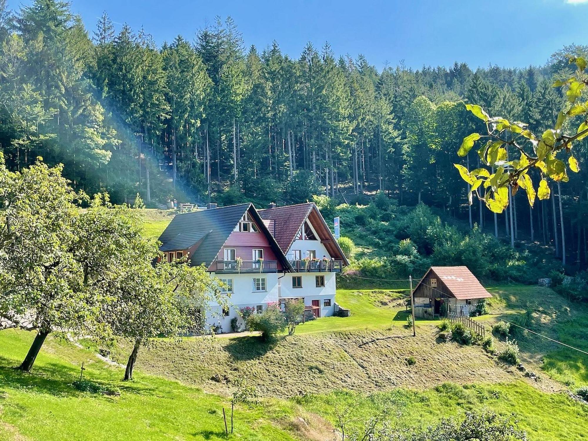 Apartment Deine Rauszeit Seebach